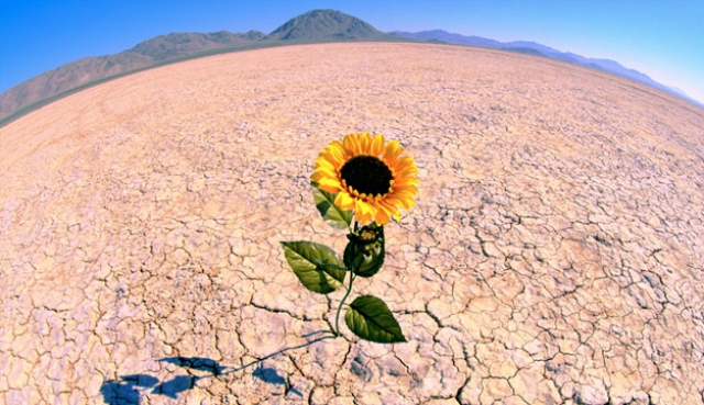 Come affrontare con coraggio le difficolt&agrave;