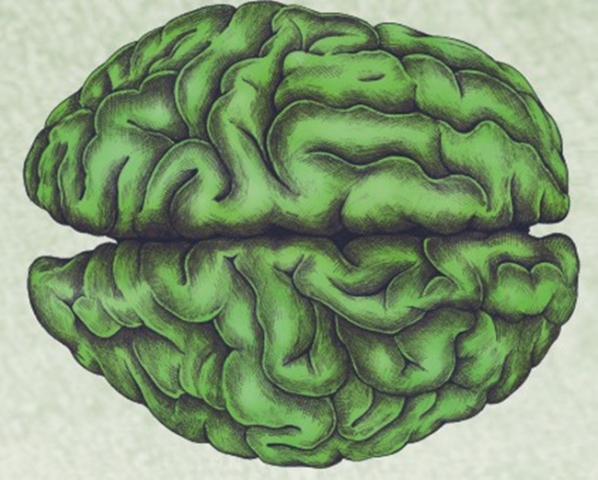 Festival della neuroetica e del cervello sociale (4a ed.)