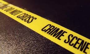 Comprendere e gestire il comportamento criminale