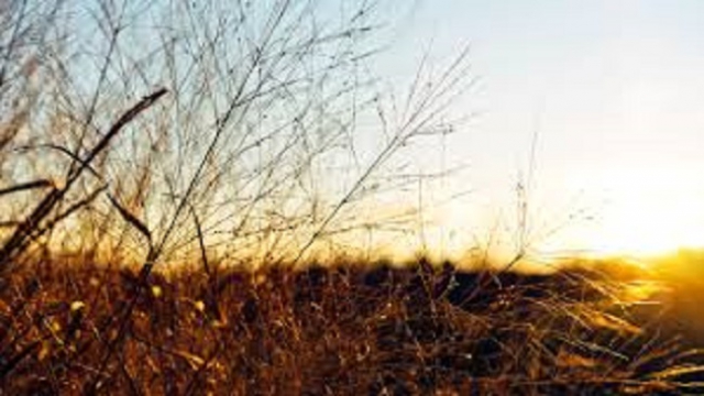 Laboratorio Integrale di Crescita Personale