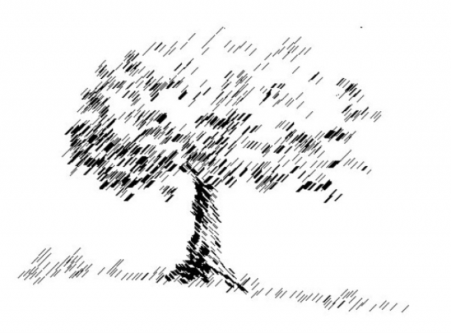 Fondazione Franceschi Onlus