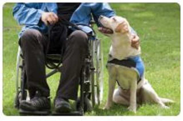 Corso Propedeutico IAA