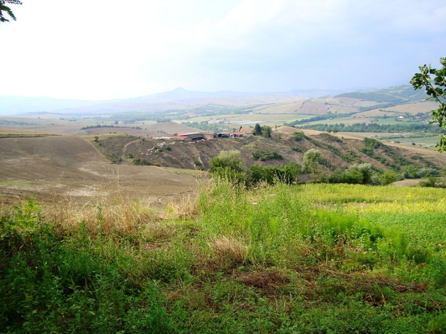 Introduzione al Training Autogeno e ai metodi di rilassamento