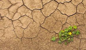 Cambiare è naturale