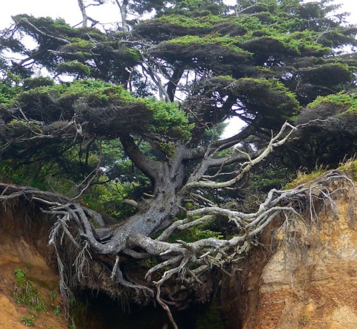 Esperienze avverse e vita psichica.