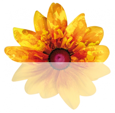 Seminario terapeutico di gruppo con le Costellazioni Familiari