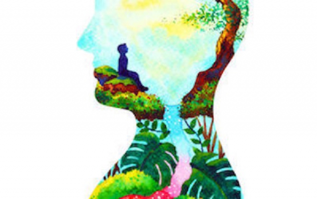 Tecniche psico-coorporee in psicoterapia: il lavoro con il paziente affetto da sintomi fisici