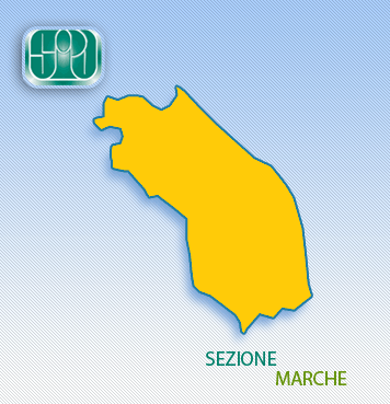 S.I.P.O. Società Italiana di Psiconcologia Sez. Marche