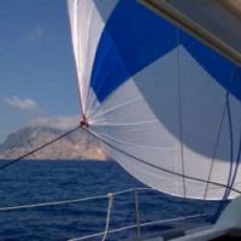 Scuola di Specializzazione in Psicoterapia Interazionista