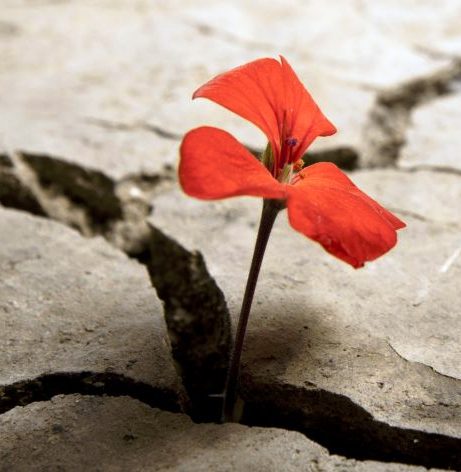 Gestione dello stress: trasformare i problemi in opportunità