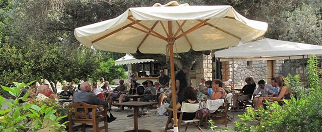 Open day Ruolo Terapeutico