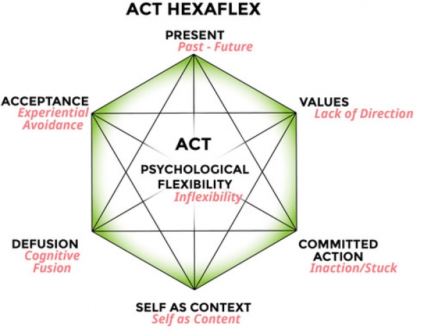 L'Acceptance Committment Therapy (ACT): teoria e pratica della flessibilità psicologica