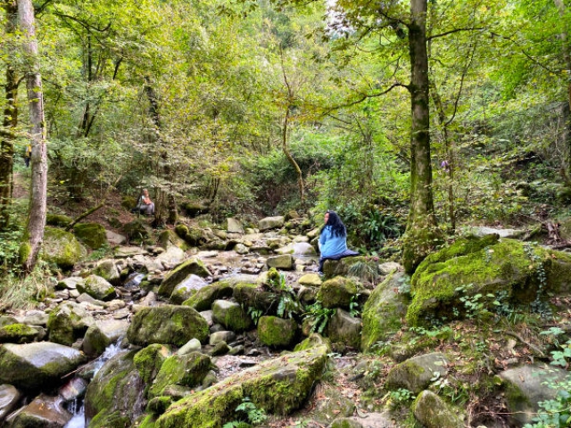Bene-Dire ● Meditazione nel bosco e scrittura ispirata