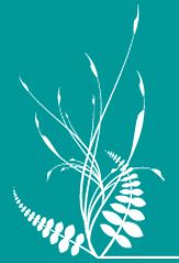 Gnocchi Raffaella - Eventi di formazione/aggiornamento