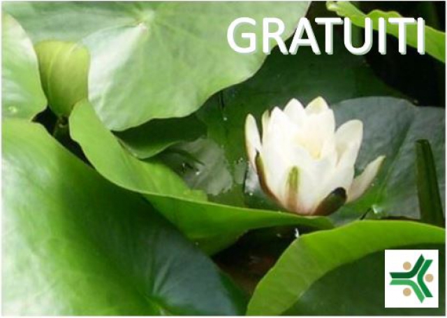 Colloqui orientamento gratuiti al Centro Studi Panta Rei