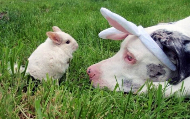 Comunicare con empatia