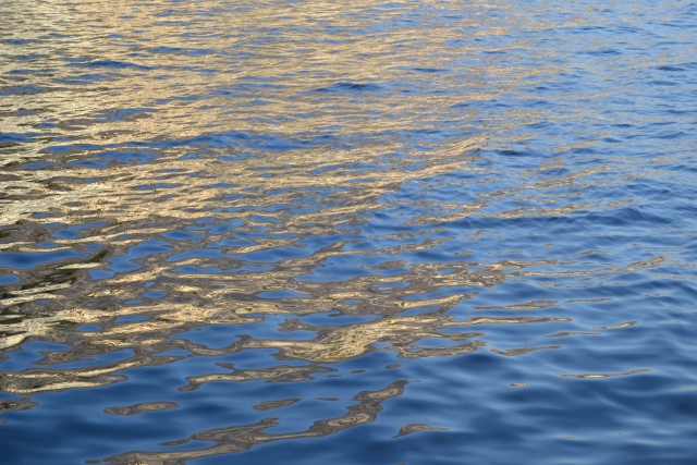 Mind Self-Compassion