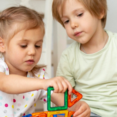 Early Start Denver Model