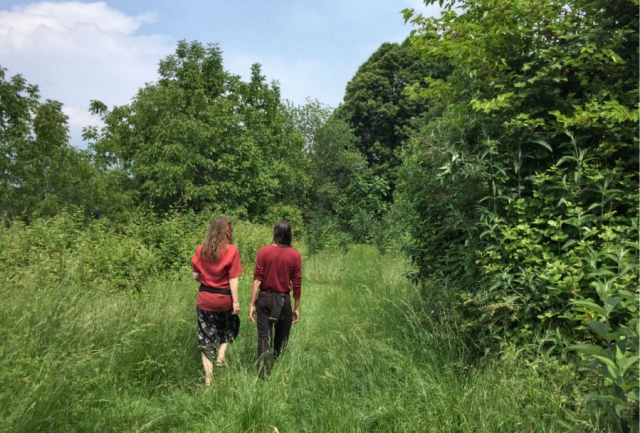 EcoCounseling nel bosco