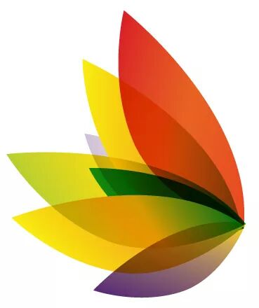 Per un’alimentazione consapevole.  Mindful Eating