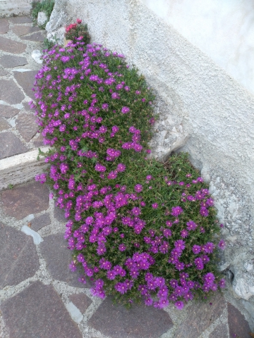 Uso clinico del test di Wartegg secondo il CWS (Crisi Wartegg System)