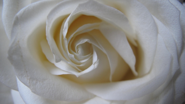 Lasciare andare la sofferenza inutile