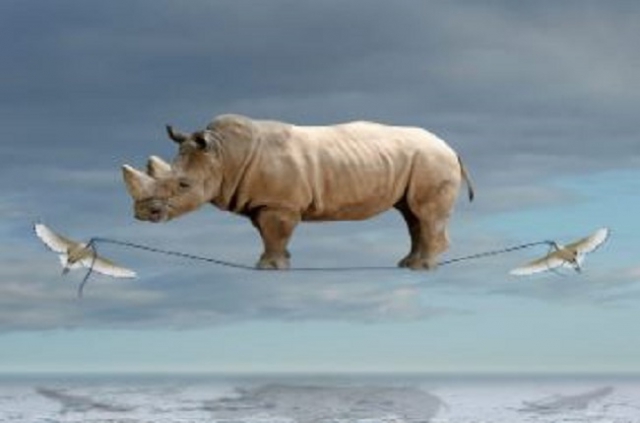 Il coraggio d'esser leggeri