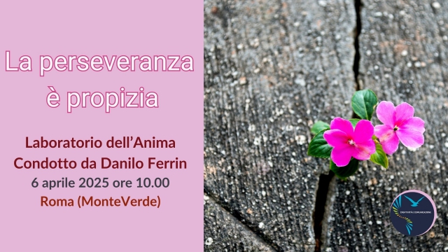 La perseveranza è propizia