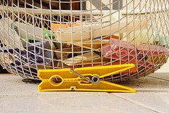 Meglio soli o male accompagnati?