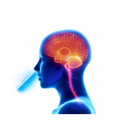 Quando si medita è meglio respirare attraverso il naso o la bocca?