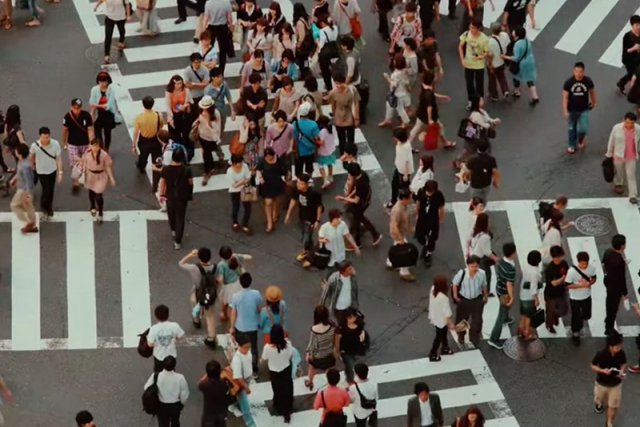 Seminari didattici di supervisione alle psicoterapie di coppia
