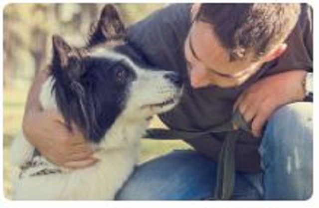 Resposabili di Progetto e Referenti di Intervento TAA/EAA