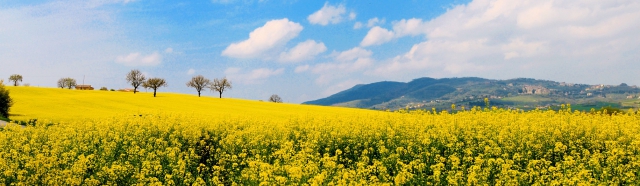 La naturalezza del corpo  e l’essenza