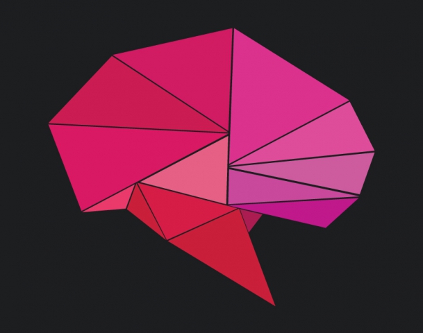 Attivit&agrave; di Tirocinio universitario all'Istituto freudiano