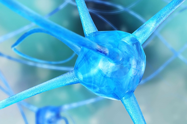 Diagnosi e interventi sul trauma secondo la prospettiva polivagale