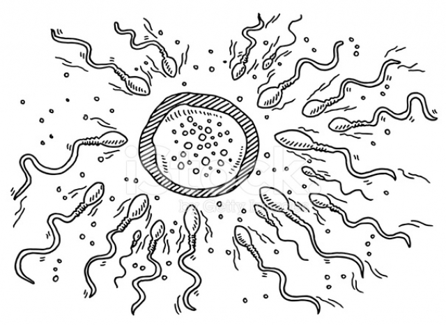 Infertilità maschile: fattori di rischio e risvolti psicologici