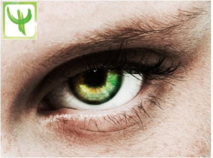 Accolita dei rancorosi