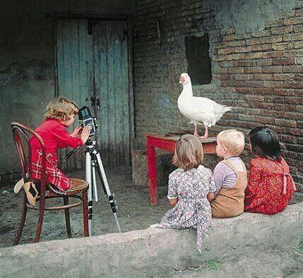 Le fotografie in seduta. Casi clinici e Supervisione