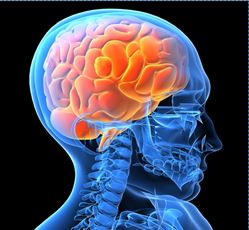 Master di II livello in Psicologia Clinica