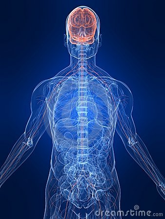 Psiconeuroimmunologia: Mind-Body-Brain