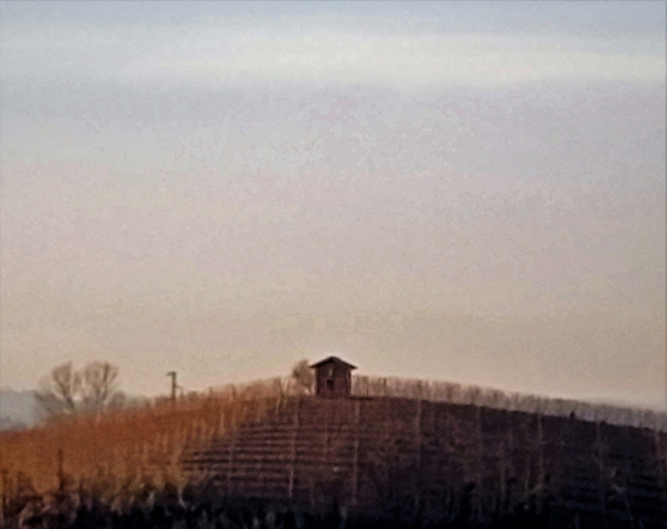 La solitudine come patto di lealtà