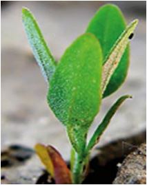 (Self) Empowerment: alla ricerca delle risorse perdute