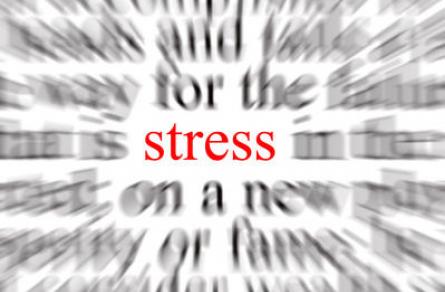La valutazione del rischio stress lavoro correlato... (VI ed.)