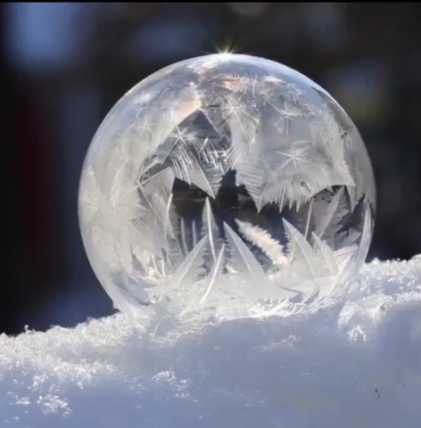 Siamo parte di un universo morfogenetico?