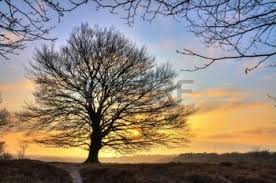 Misurare, riconoscere, trascendere: alla sorgente del senso della vita