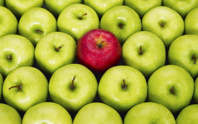 La soggettività dell'epoca: Nella politica (1° inc.)