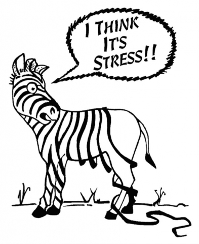 Strategie di gestione dello stress