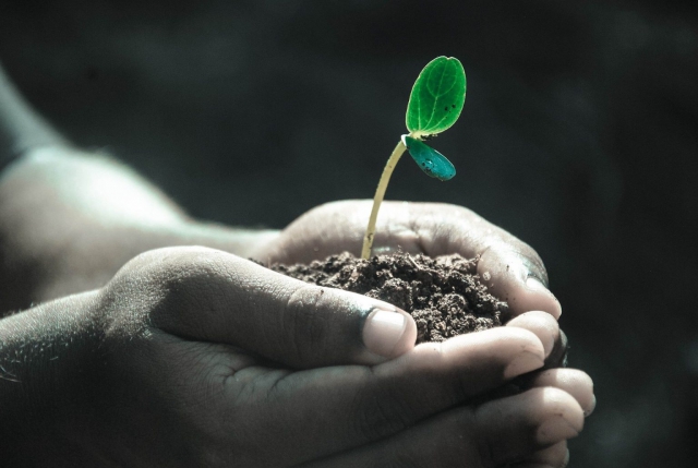Cambiamento climatico e ansia