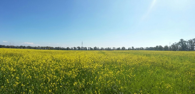 Bisogno di silenzio