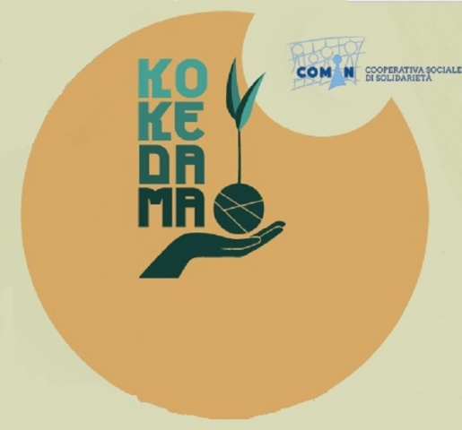 Kokedama